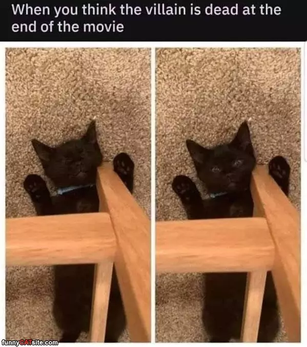 At The End Of The Movie