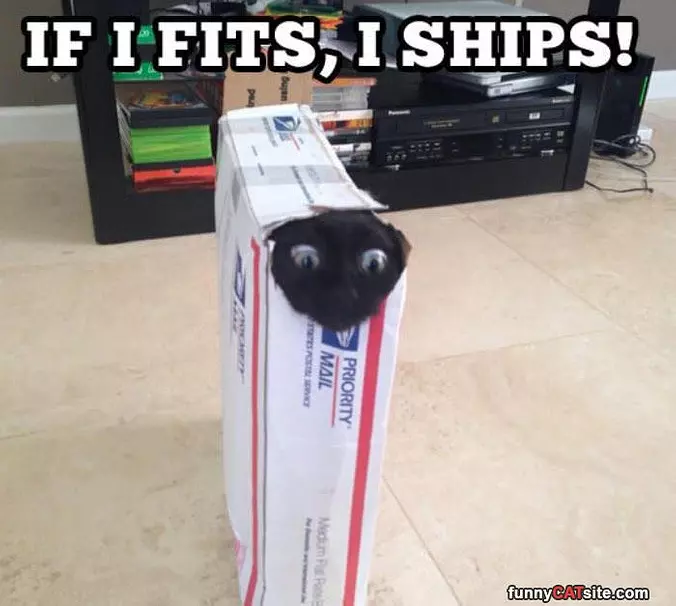 If I Fits I Sits