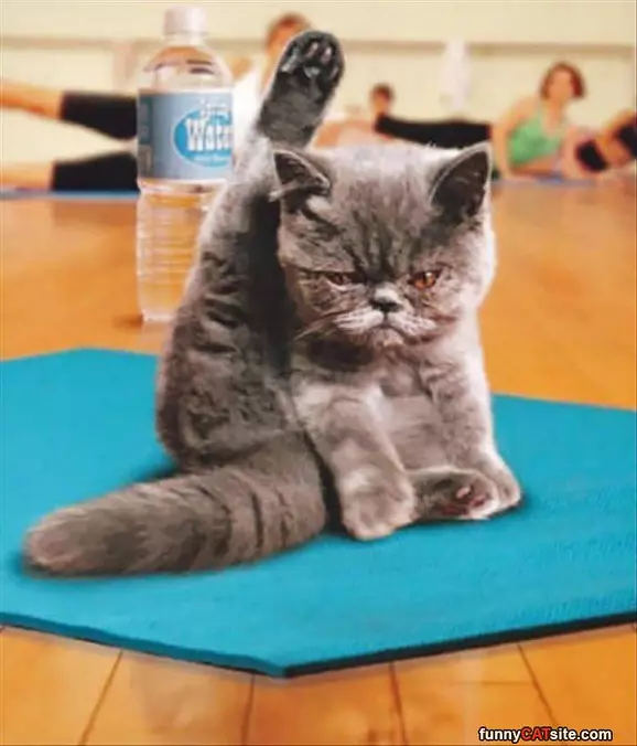 Doing Some Yoga