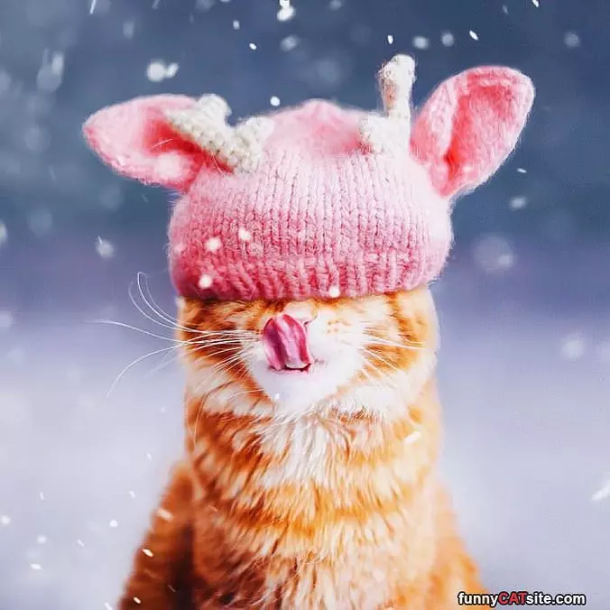 Snow Is Falling