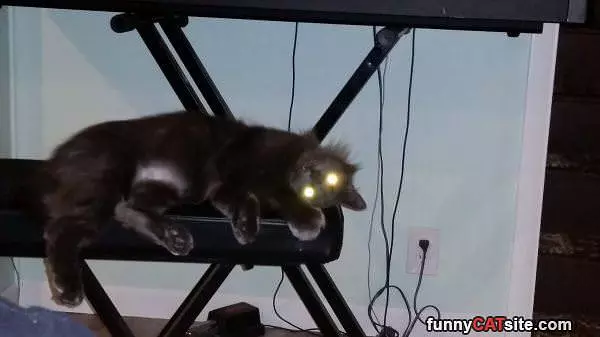 I Am Fully Charged