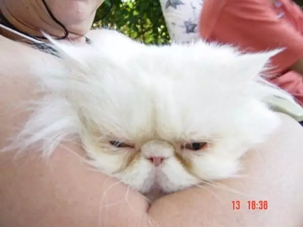 Im Tiiired