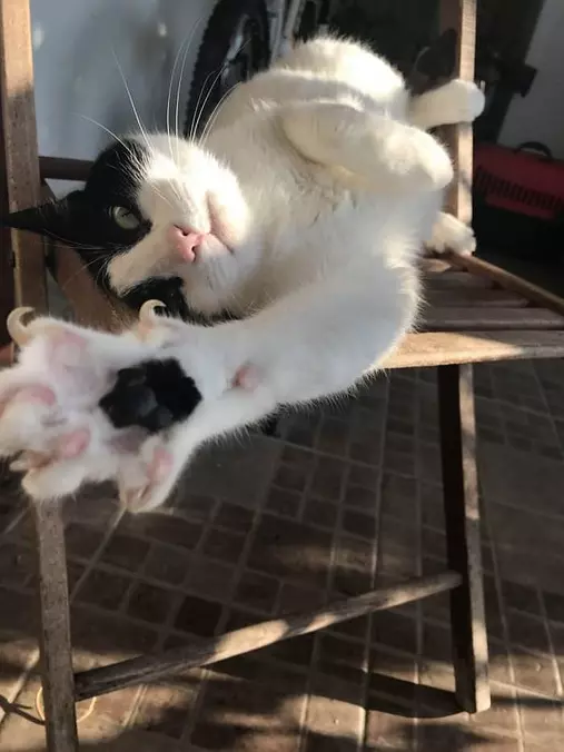 A Long Stretch