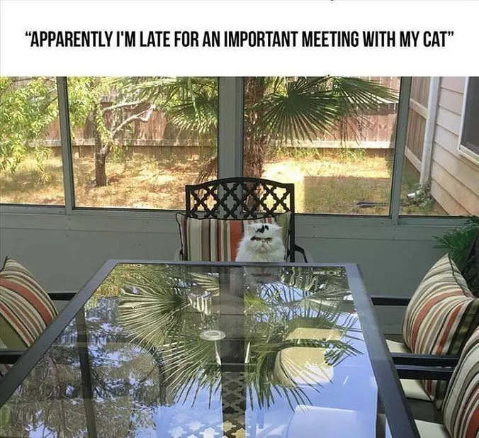 Apparently I Am Late