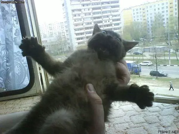 Be Hugz Time