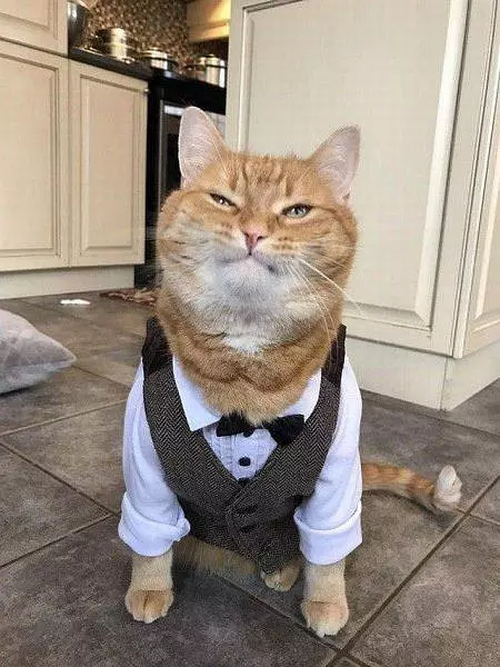 All Suited Up