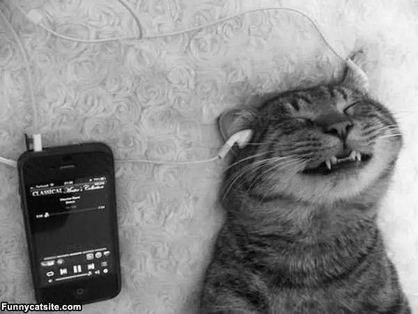 Relaxing Music