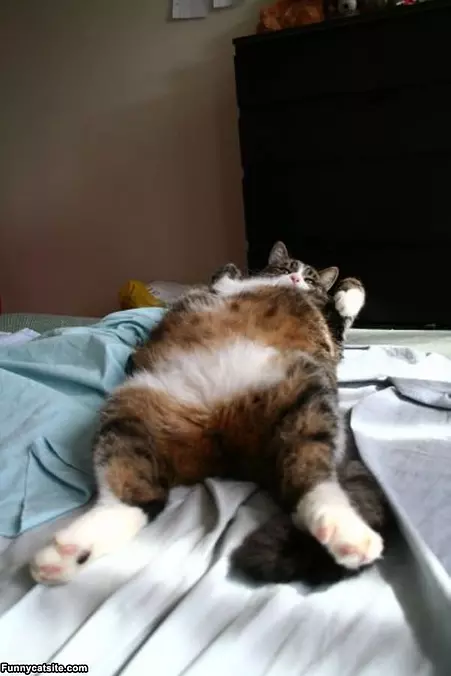 Laying Around