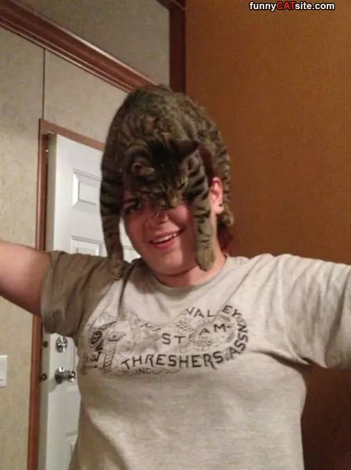 I Have A Cat Hat