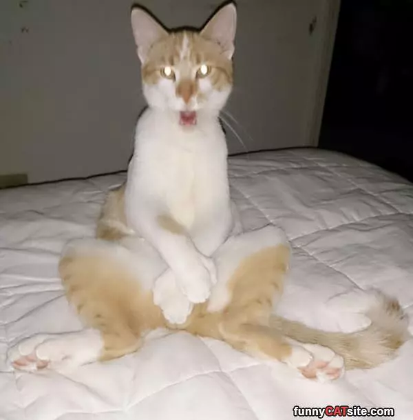 Whaaaaaaaa
