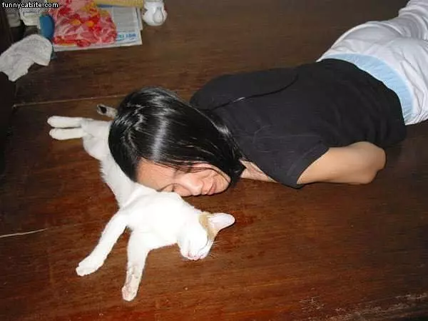 Pillow