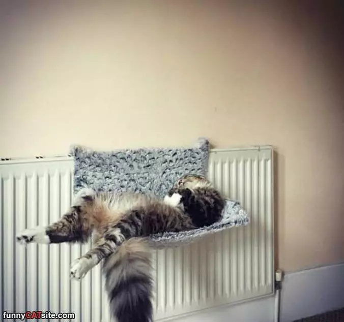 Greatest Bed Ever