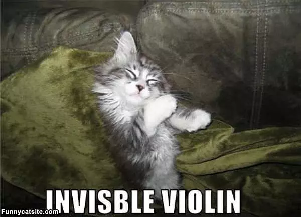 Invisible Violin