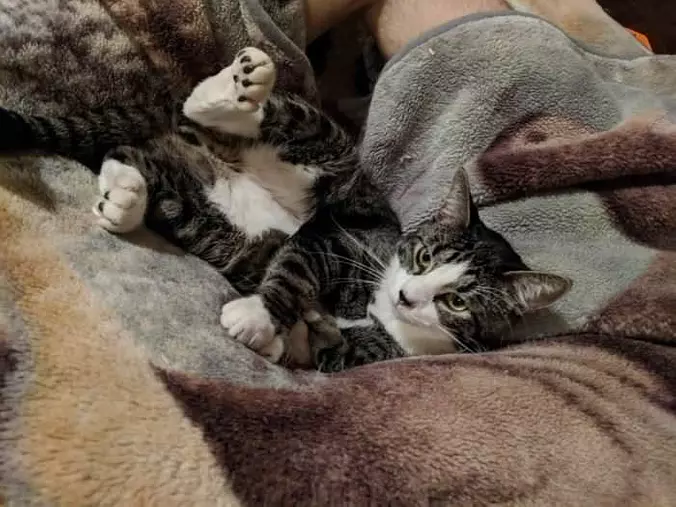 Hey Laying Around Relaxing