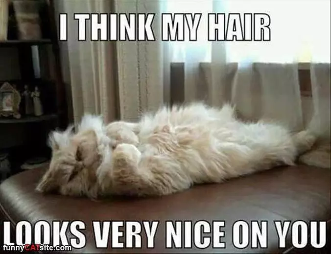 Looks Nice On You