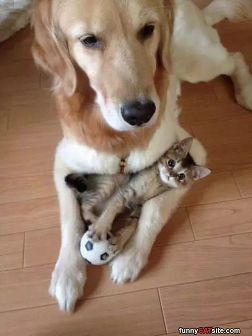 We Play Very Nice
