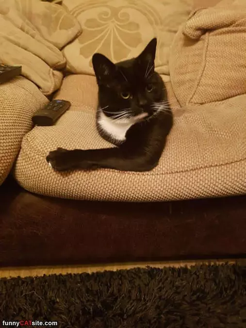 In The Couch