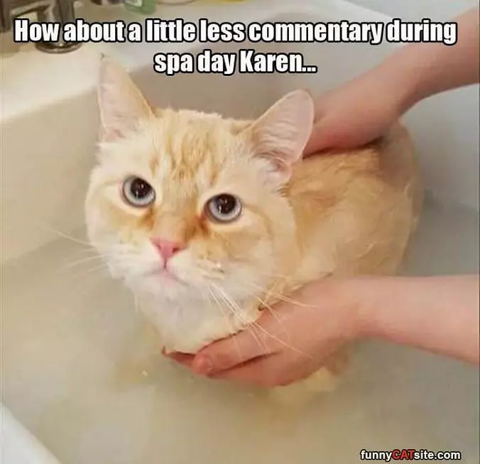 Less Talking Karen
