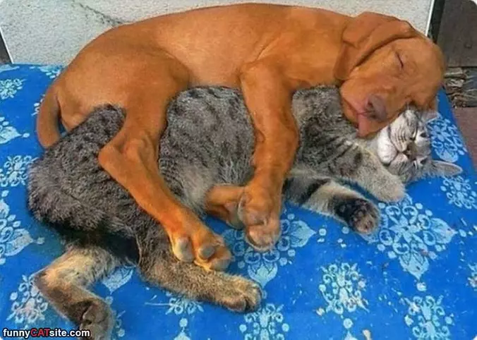 A Little Hug