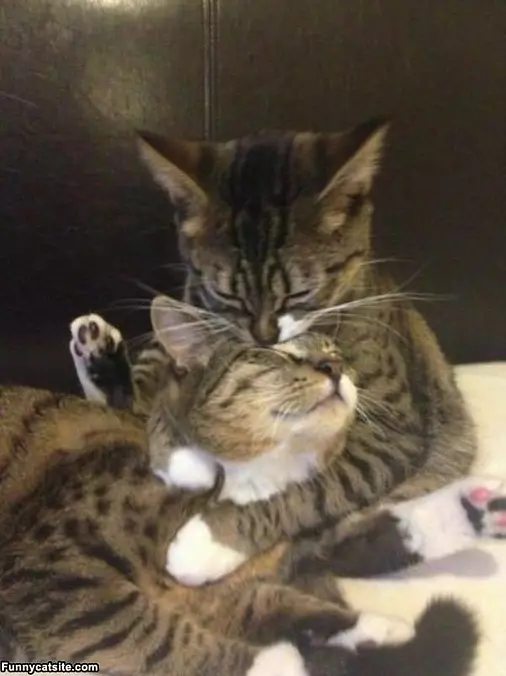 Give Me A Big Kiss