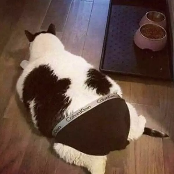 Just In Case