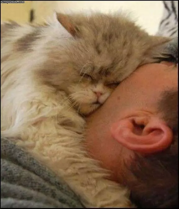 Face Sleeper