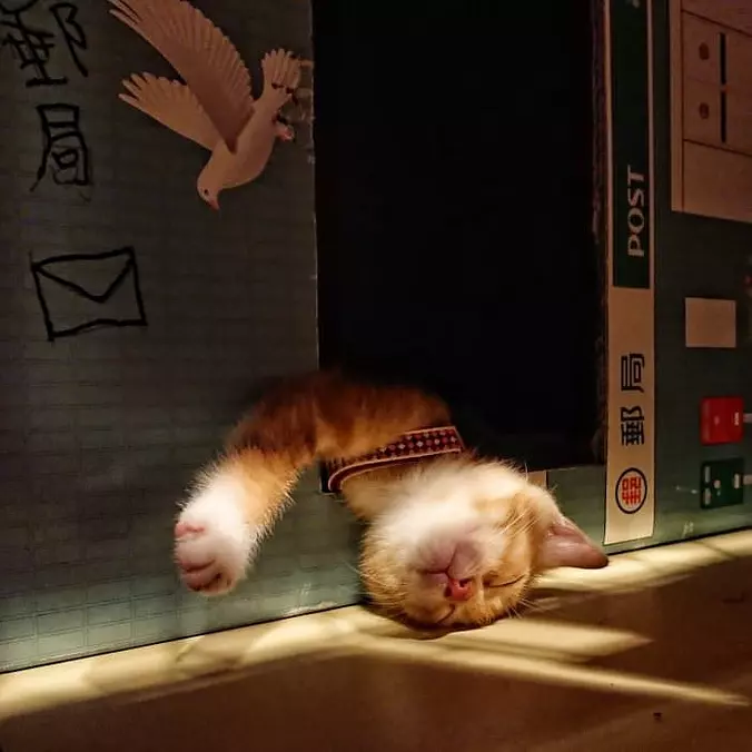 So Super Relaxed