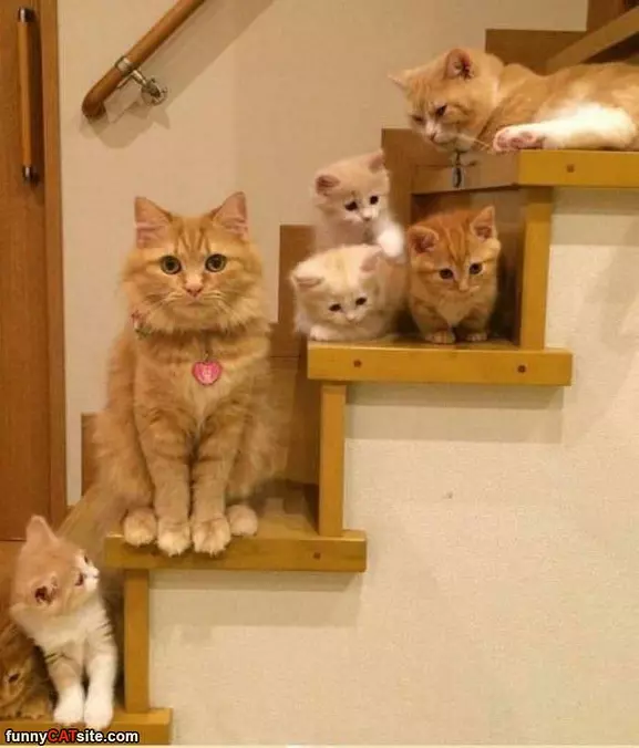 The Entire Family Is Here