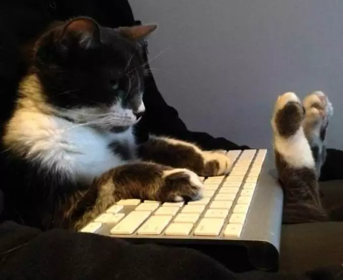 Keyboarding Away