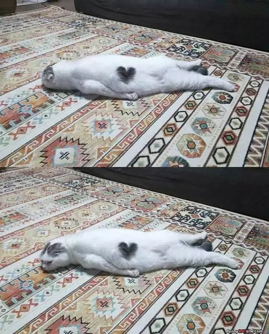 So Pooped Out