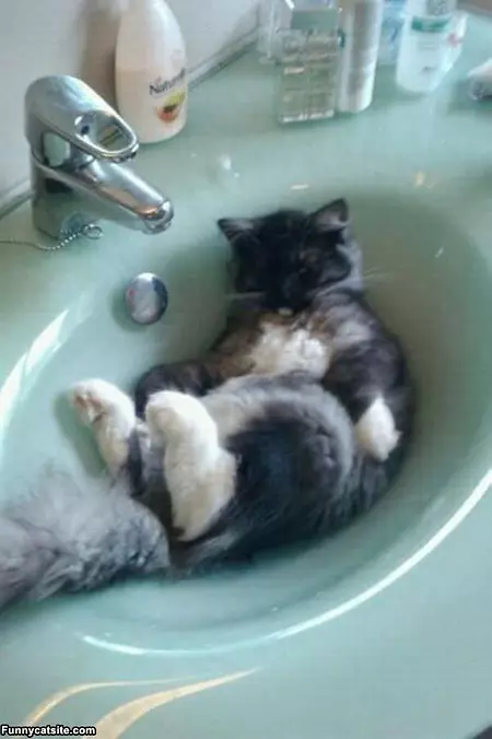 Sinking