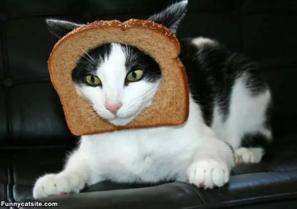 In Bread