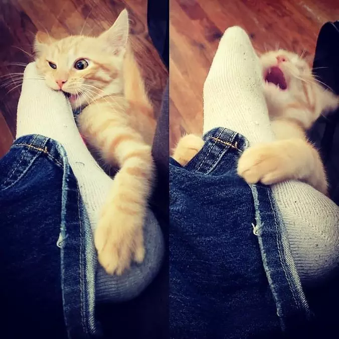 Rarrrrrrrrrwww