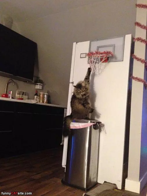Slam Dunk