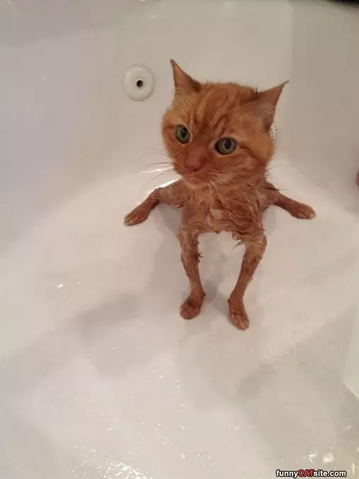 Baths Shrink Me