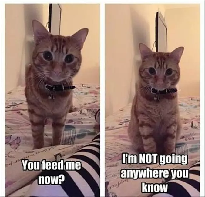 You Feed Me Now