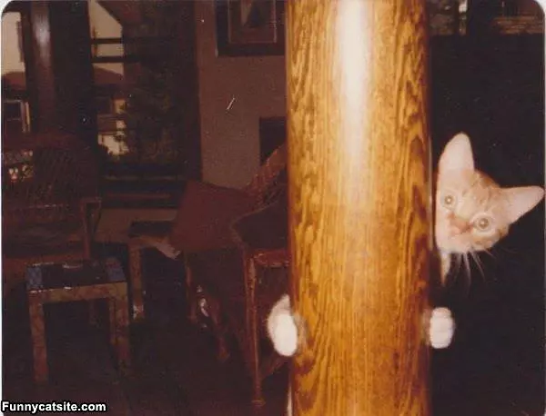 Can You See Me