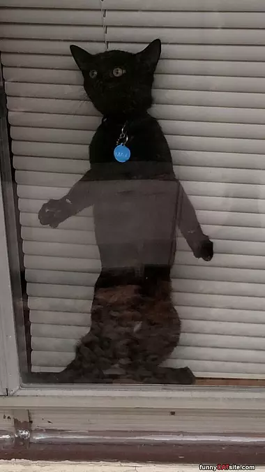 My Name Is Max
