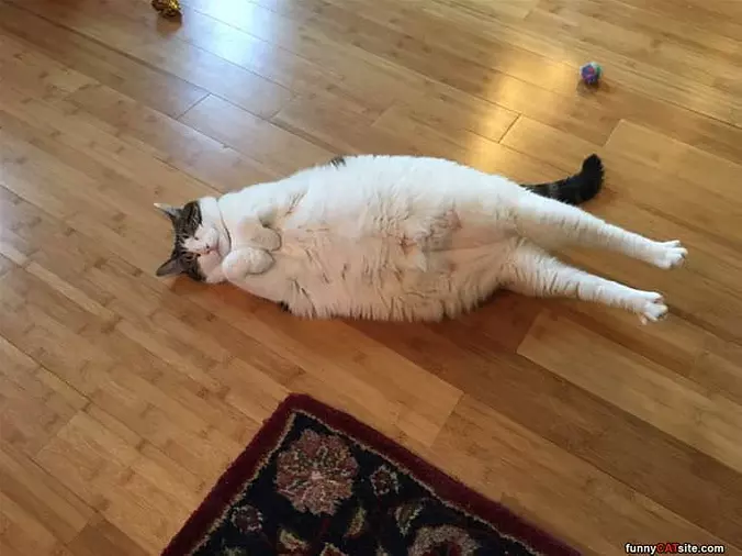 Laying Around