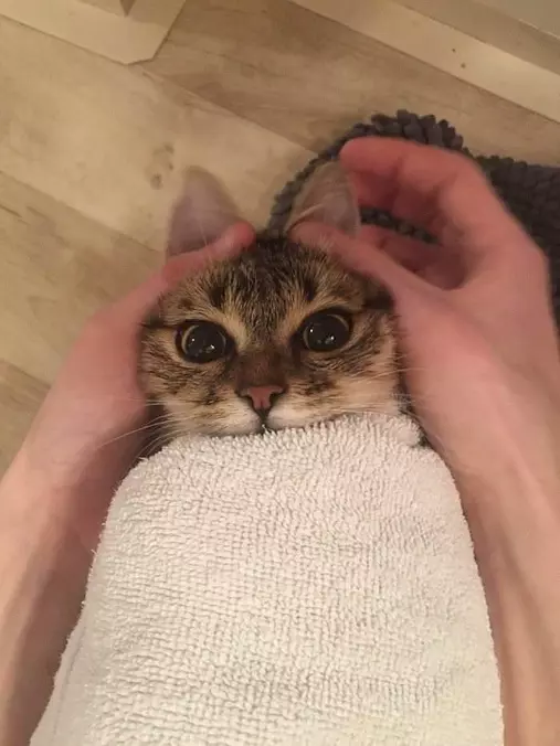 Look At My Ears