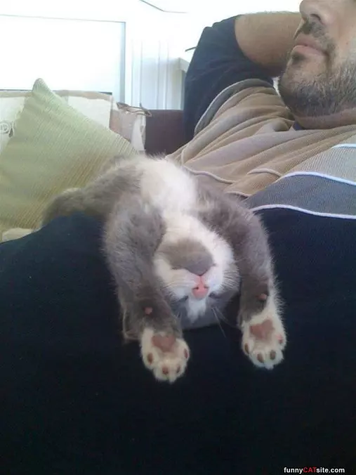 Laying On My Back