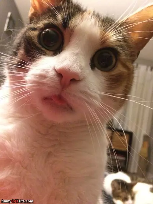Super Duper Close Up