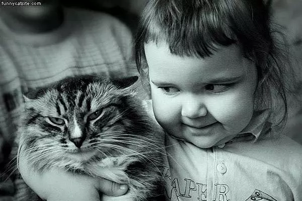 Not A Happy Cat