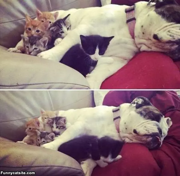 You Are Soooo Warm