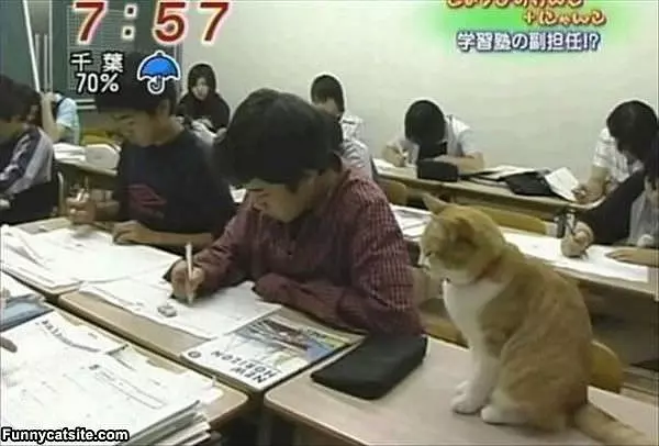 Taking An Exam