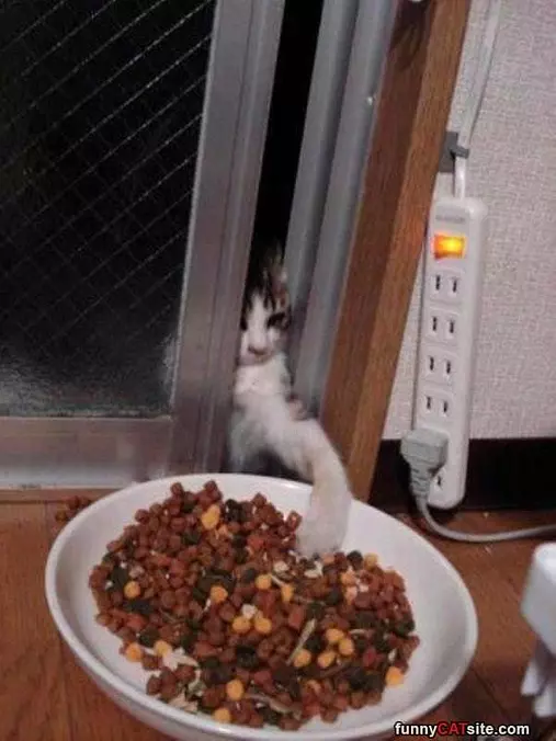 Grabbing Myself A Snack