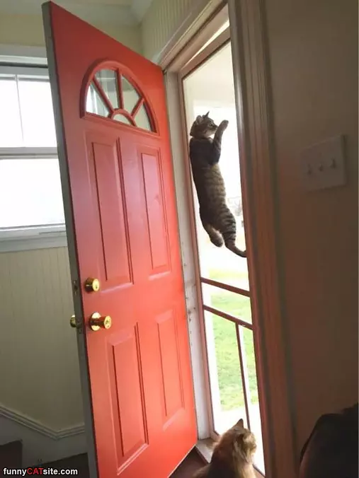 Finding A Way Out