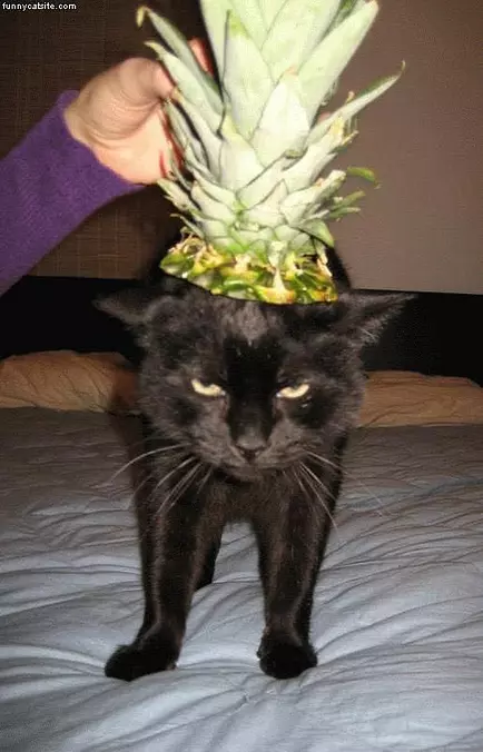 Look How Mad