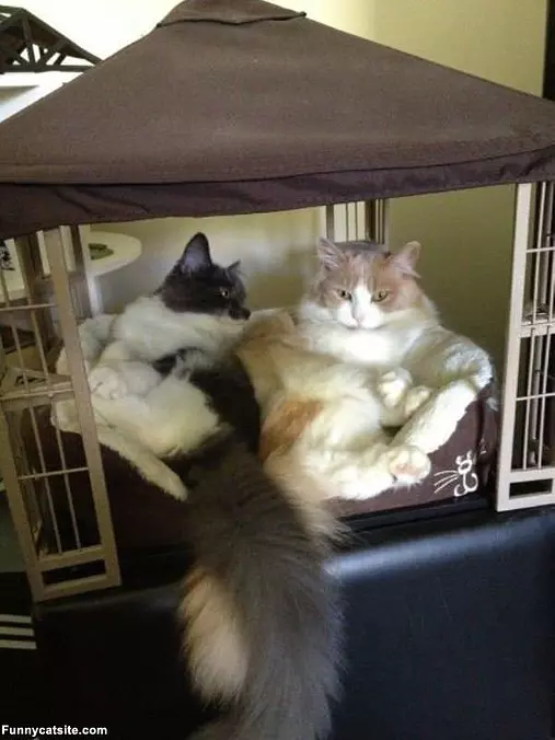 Yea We Are Chillin