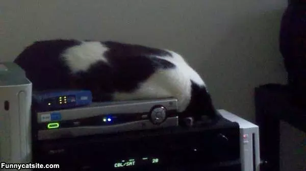 Its Nice And Warm Here